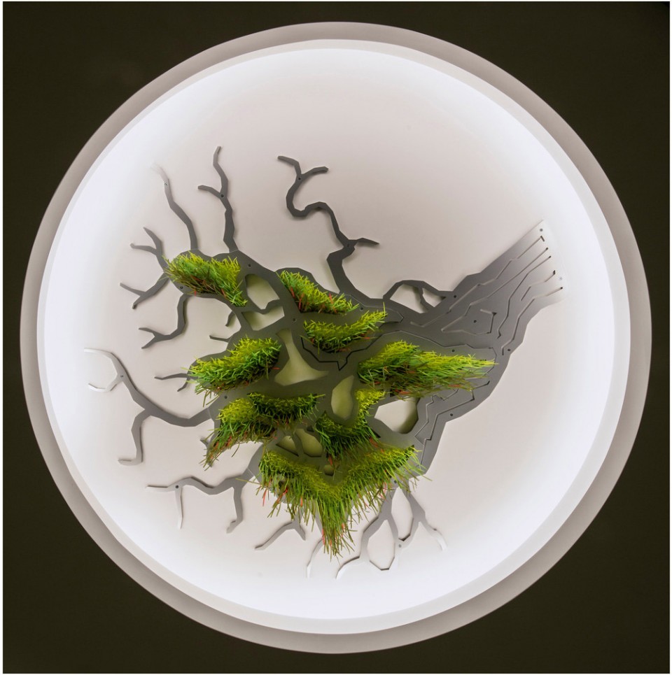 6_Sous le grand arbre_Elisabeth Picard