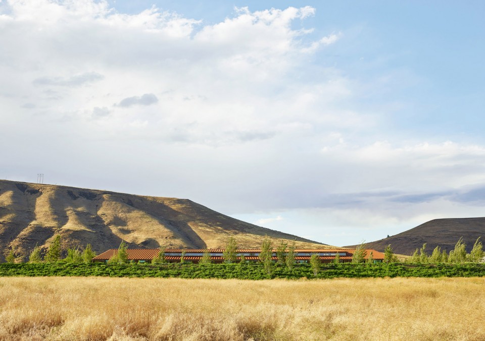 Washington Fruit and Produce Co. Headquarters By Graham Baba Architects
