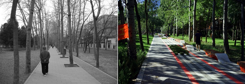 Jinyuanzhuang Shelter Forest Landscape