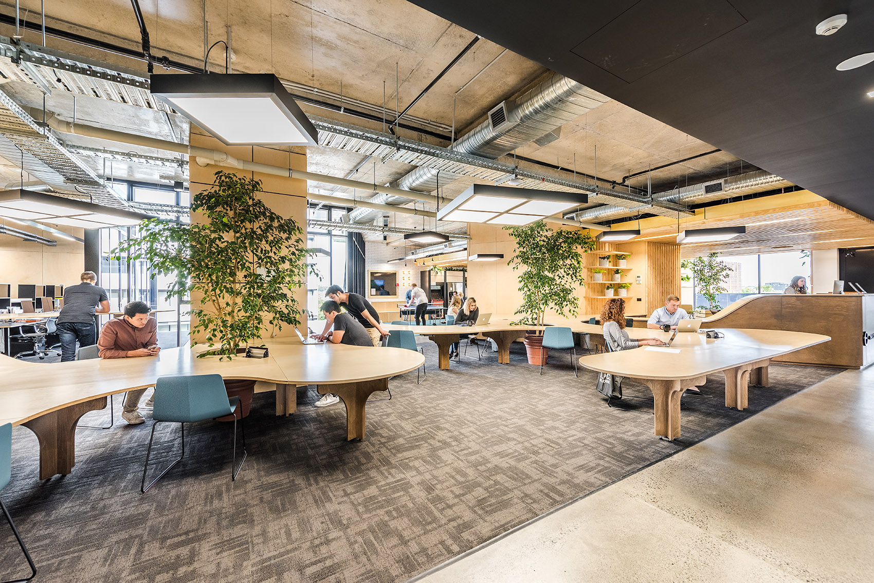 The Commons Cowork,South Melbourne By Siren Design Group Pty Ltd 谷德设计网