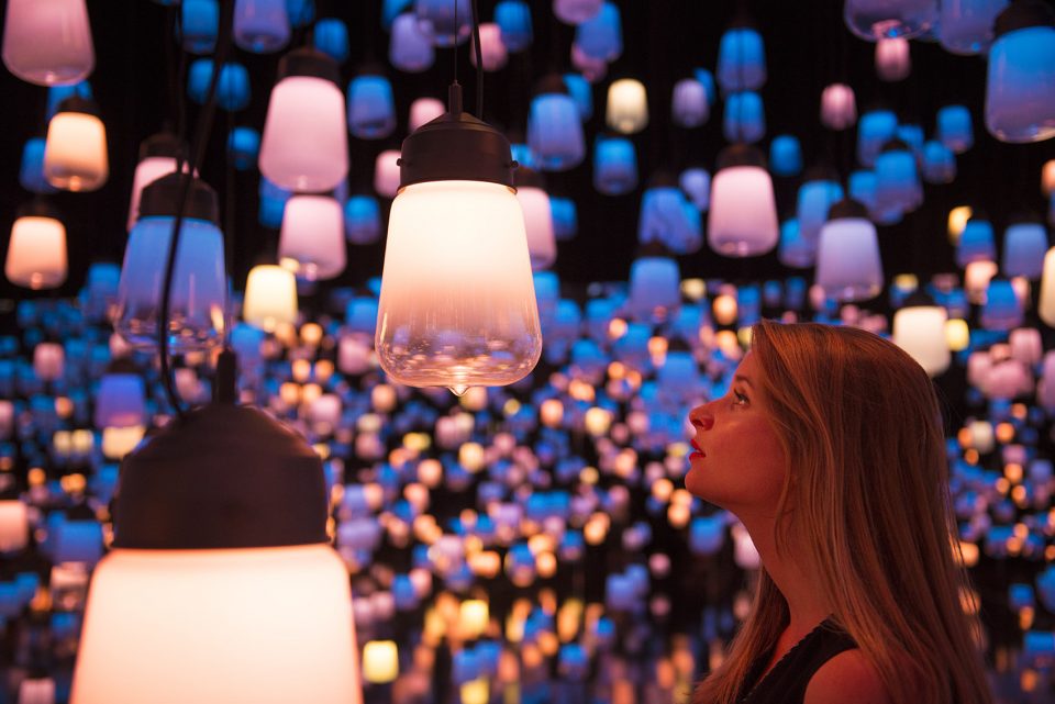 teamLab Forest of Resonating Lamps 5