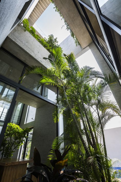 Binh House By VTN architects