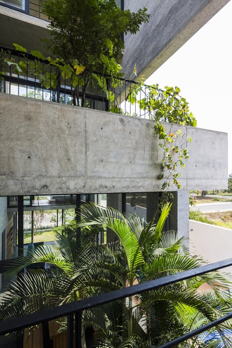 Binh House By VTN architects