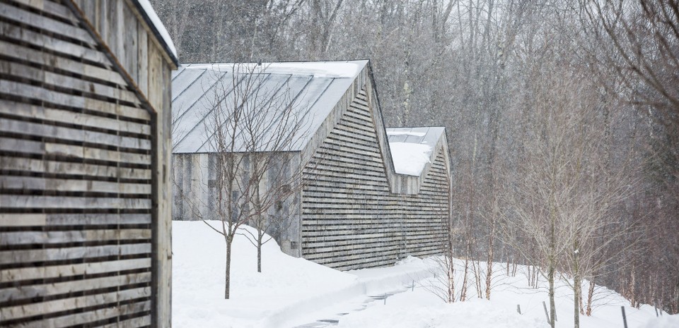 010-Woodshed