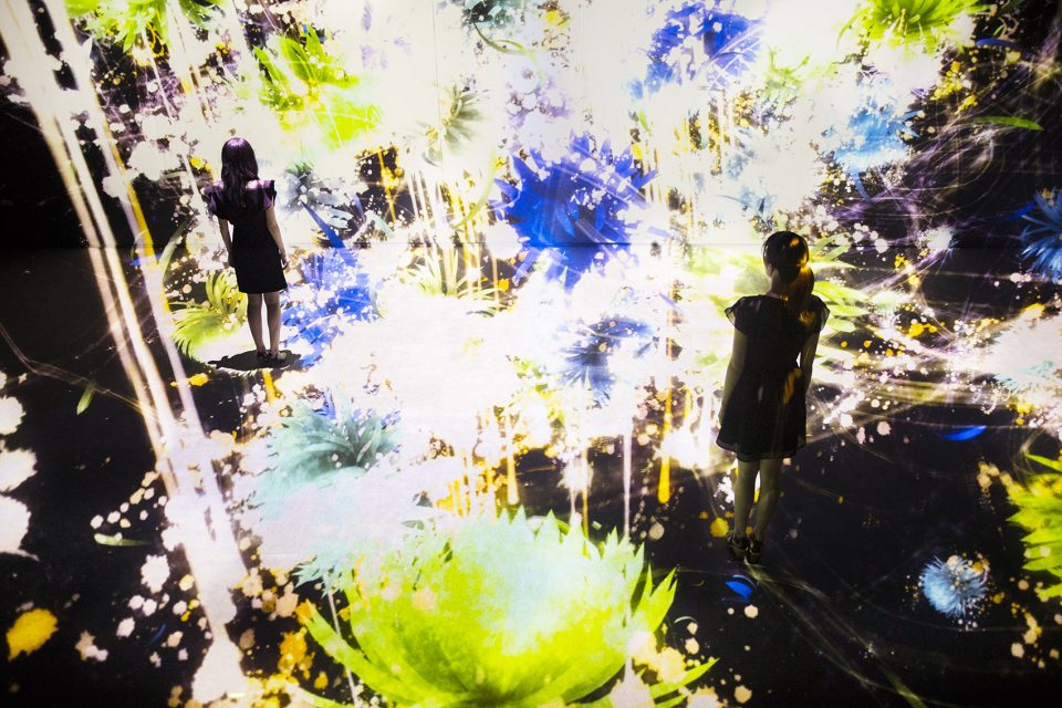 teamLab LIght in Dark 2