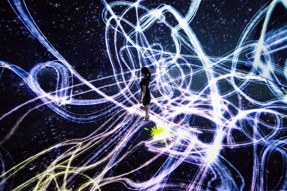 teamLab LIght in Dark 3