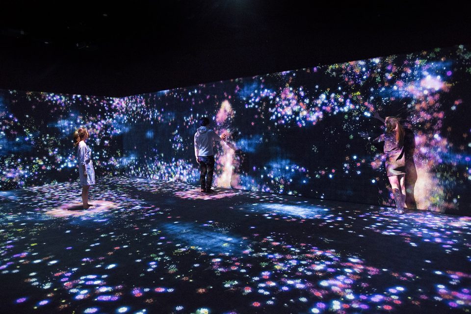 teamLab Flowers and People 1