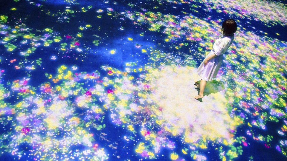 teamLab Flowers and People 2