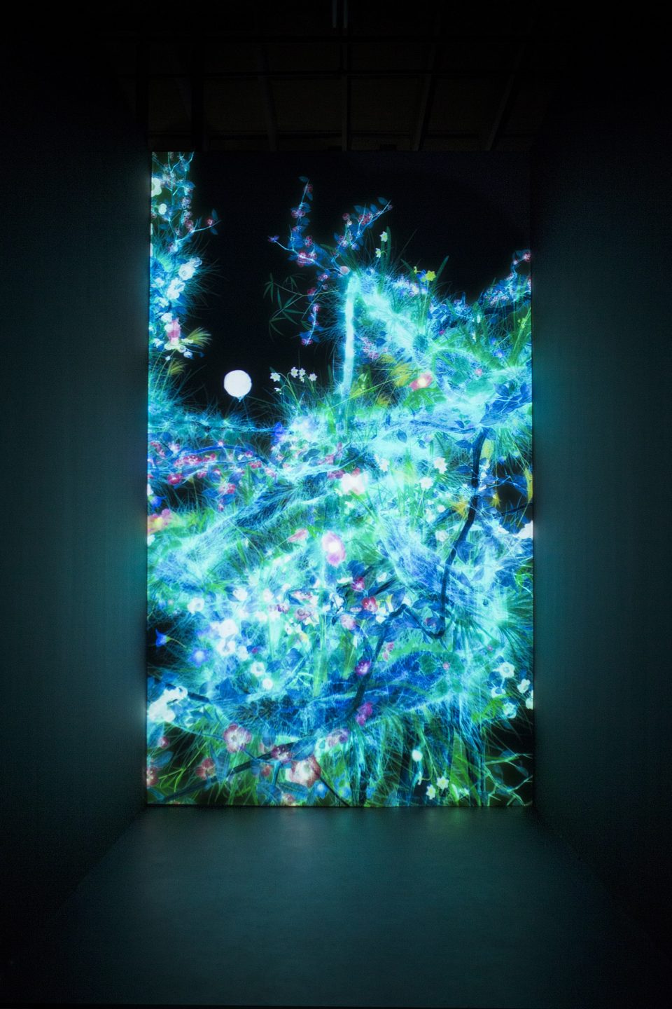 teamLab Cold Life 3