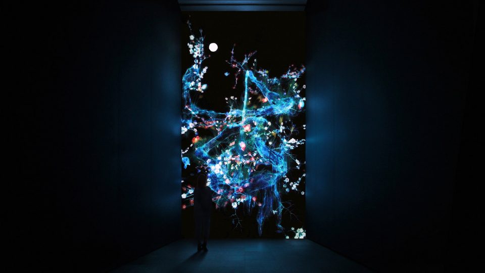 teamLab Cold Life 10