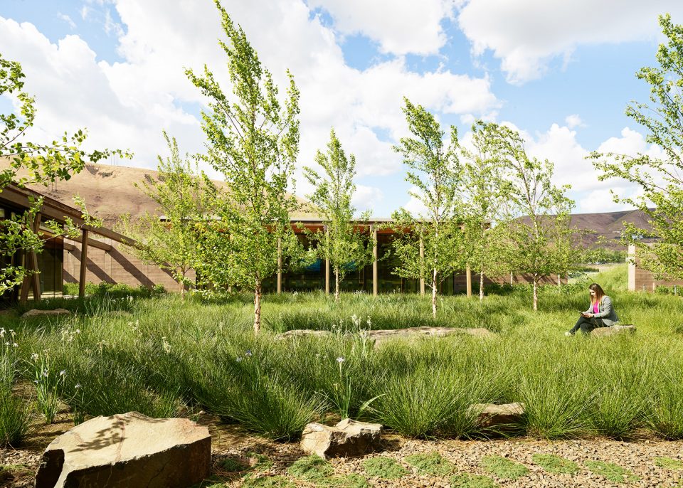 Washington Fruit Produce Co. Headquarters By Graham Baba Architects
