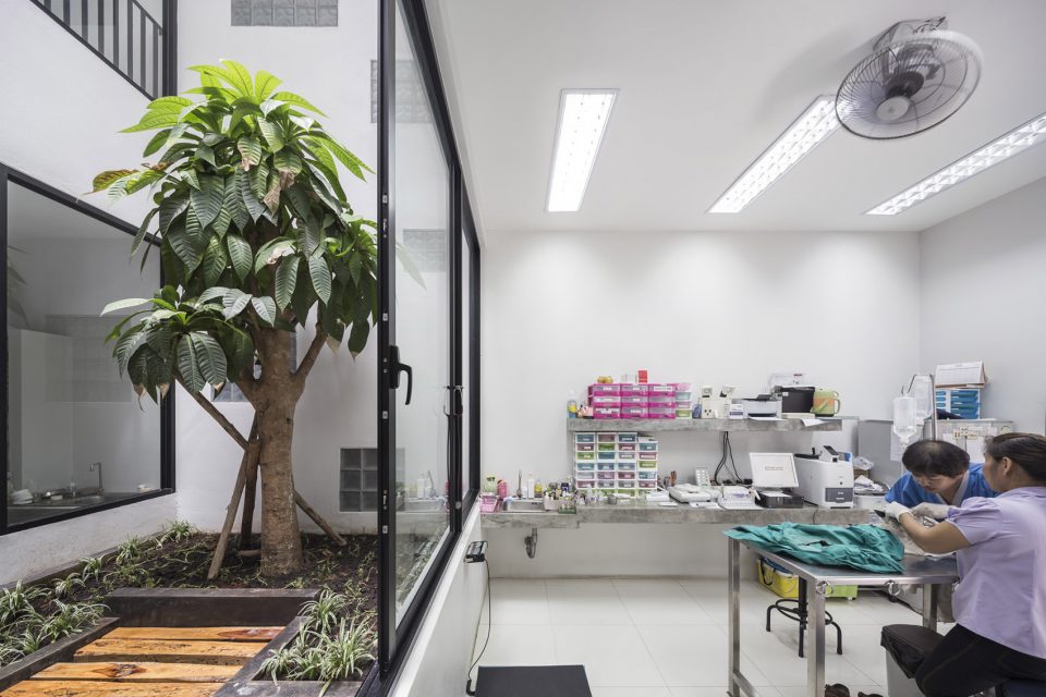 vet clinic2 multi place EKAR