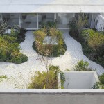 墨西哥城空中花园，Casa Verne / Zeller & Moye
