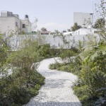 墨西哥城空中花园，Casa Verne / Zeller & Moye