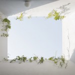 墨西哥城空中花园，Casa Verne / Zeller & Moye