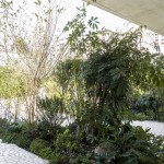 墨西哥城空中花园，Casa Verne / Zeller & Moye