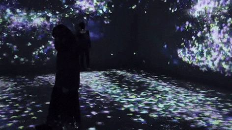 teamLab 10