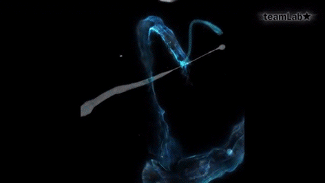 teamLab 12