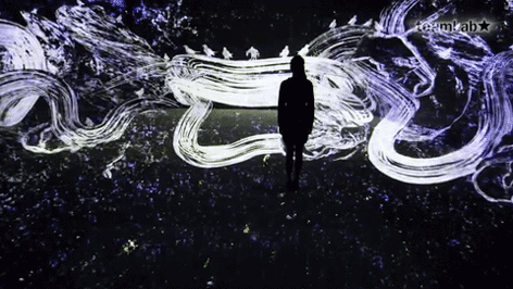 teamLab 8