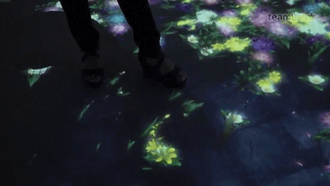 teamLab 9