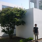 Under 35 - Cheng Yanchun, CPLUS