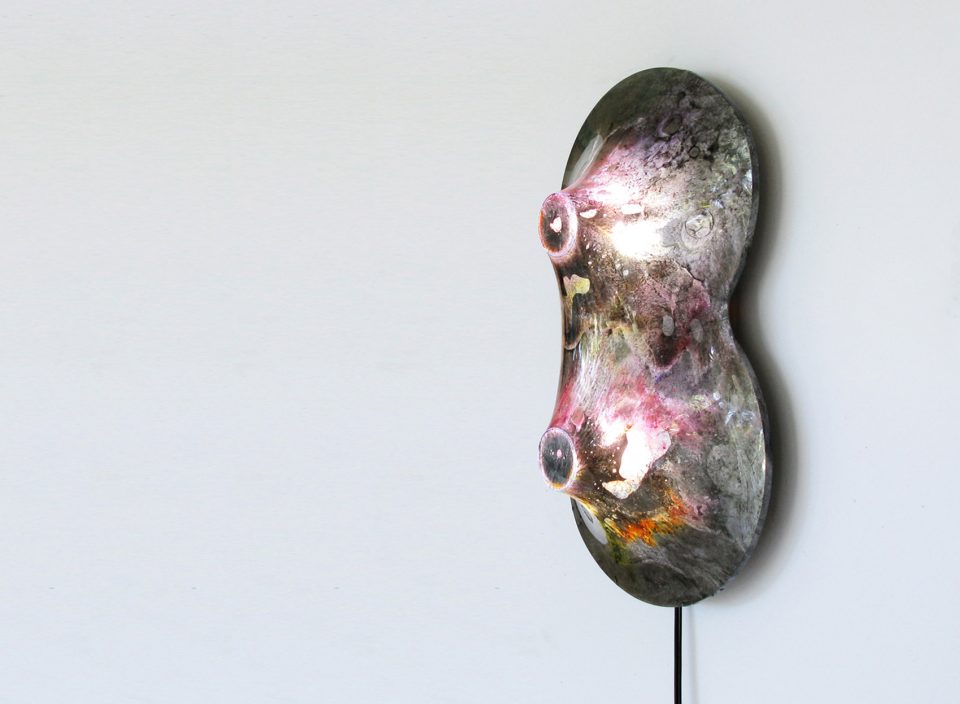NUCLEI Taeg Nishimoto