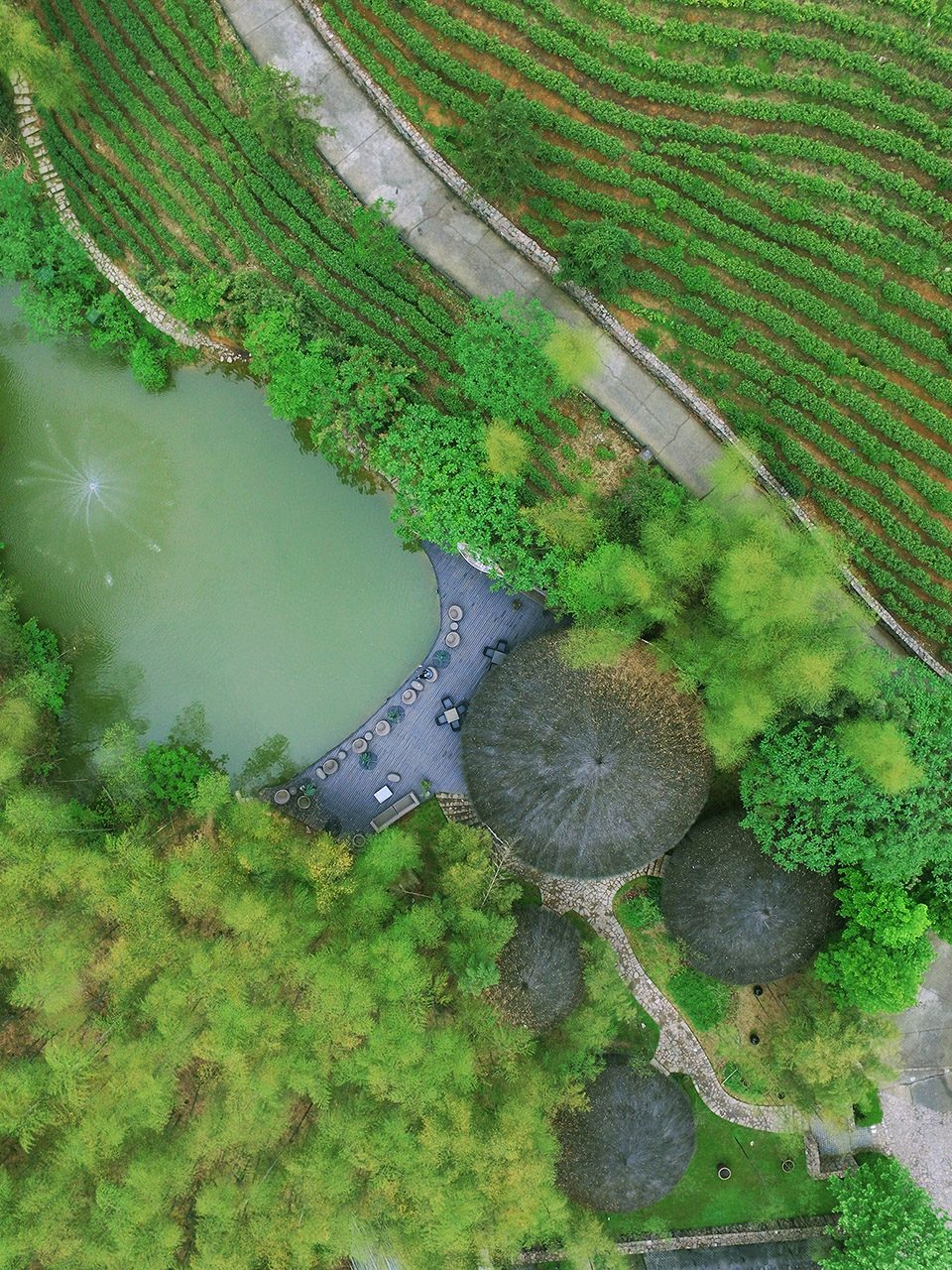 Naked Gallery Ecological Creation Technology By Xiaohui Design Studio