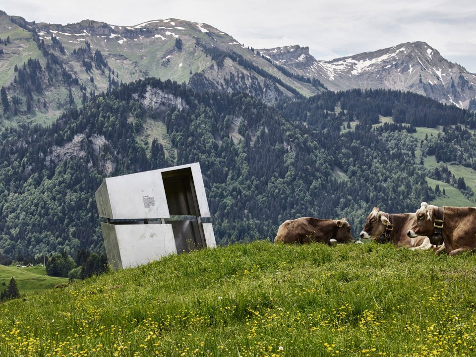 RINDBERG GEO TRAIL By IMA