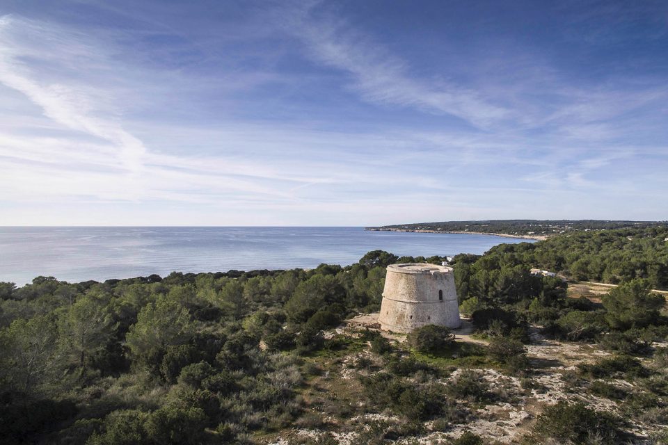 RESTORATION OF ‘PI DES CATALÀ’ TOWER By Marià Castelló Martínez