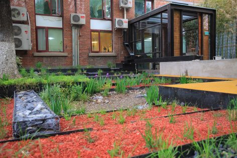 Rain Garden UpS