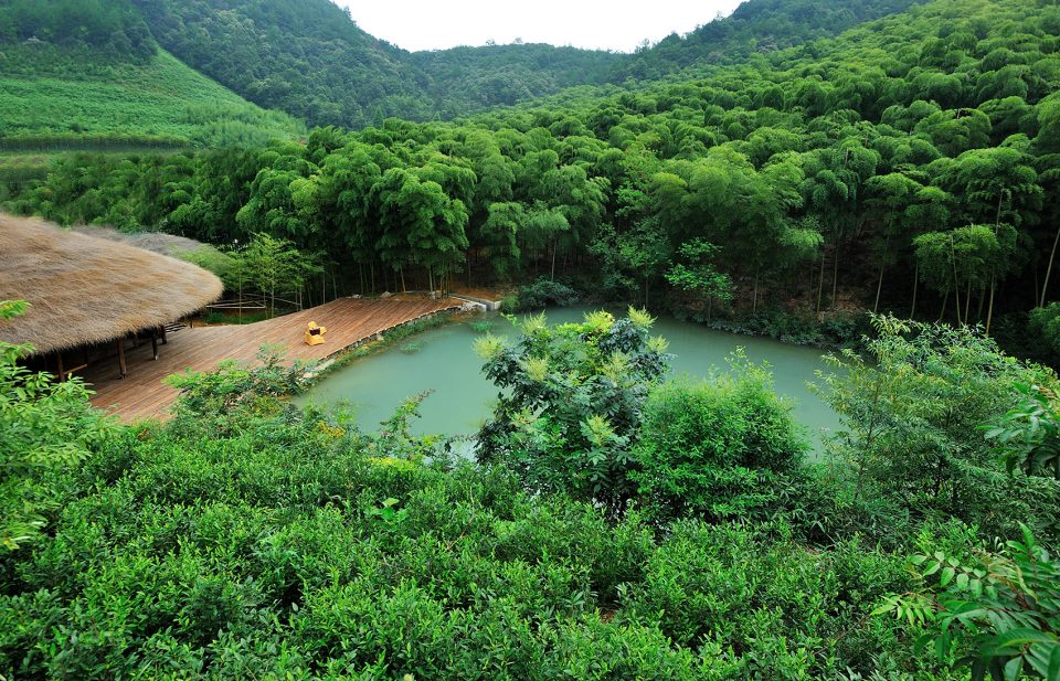 Naked Gallery Ecological Creation Technology By Xiaohui Design Studio