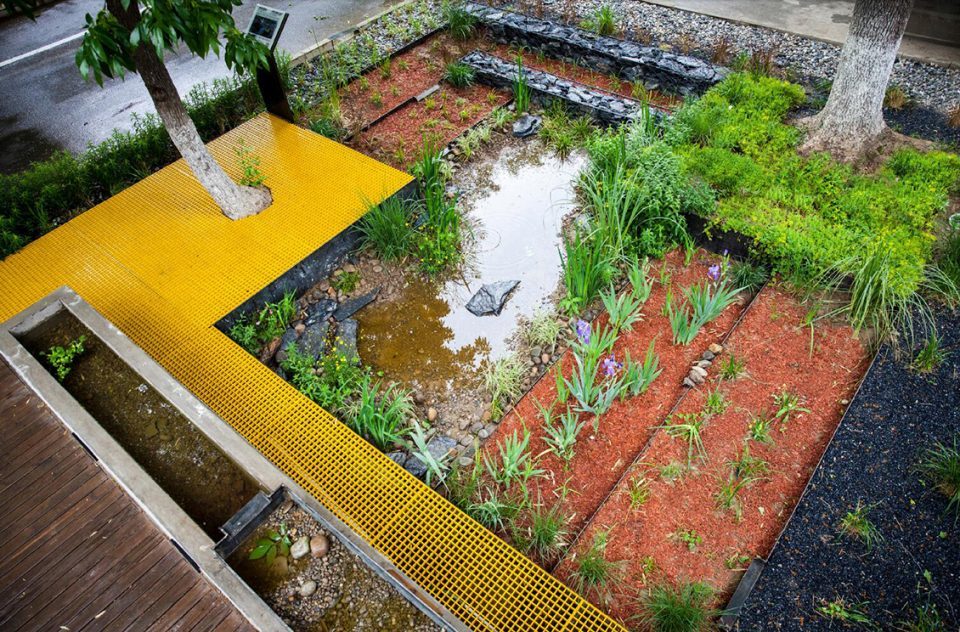 Rain Garden UpS 960x632 1