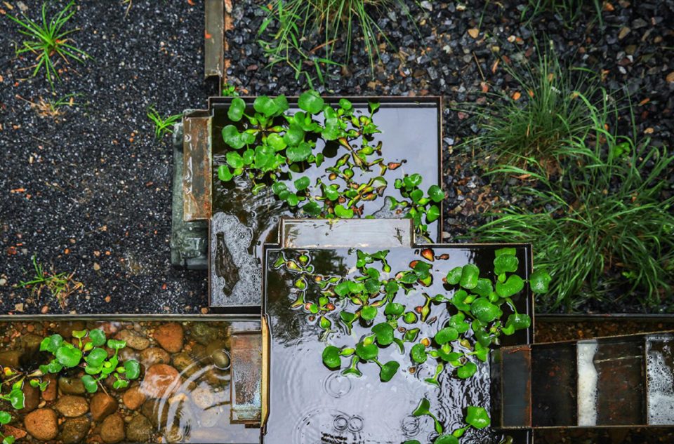 Rain Garden UpS