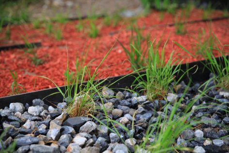 Rain Garden UpS