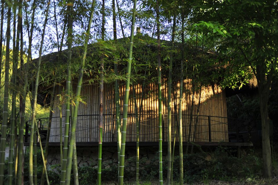 Naked Gallery Ecological Creation Technology By Xiaohui Design Studio