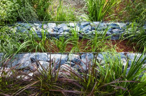 Rain Garden UpS