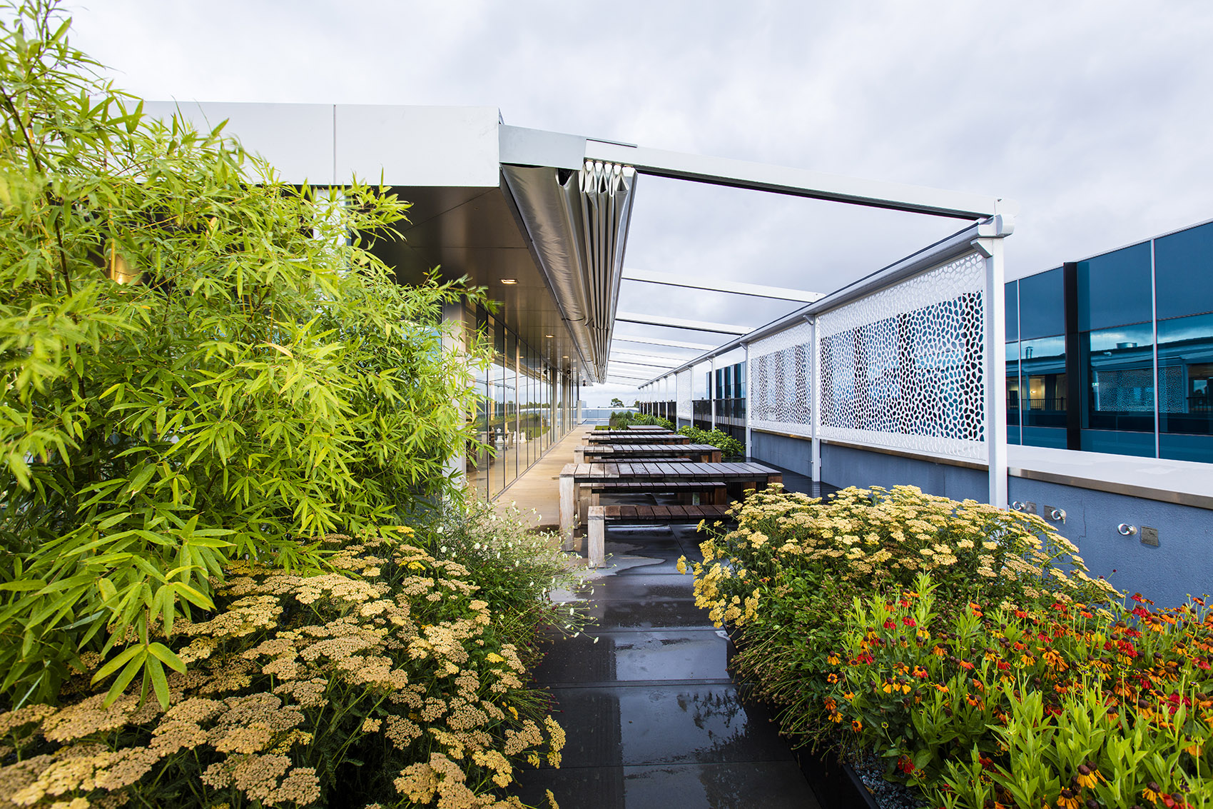 Rooftop Garden, Melbourne, Australia / Ian Barker Gardens 谷德设计网