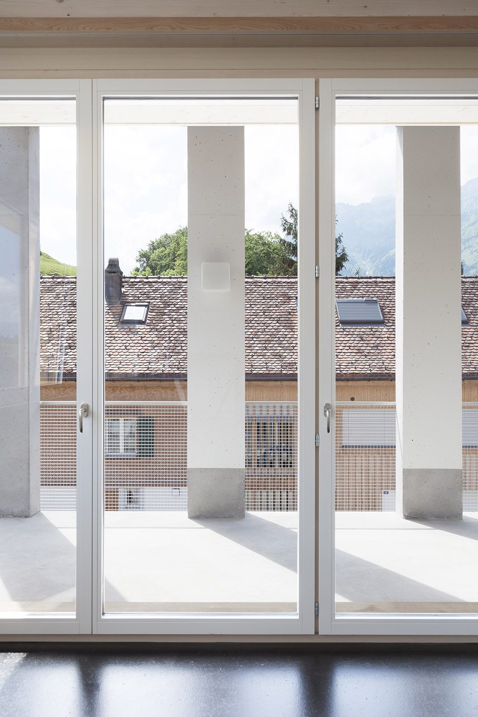 Two Houses By Schneider Türtscher Architekten
