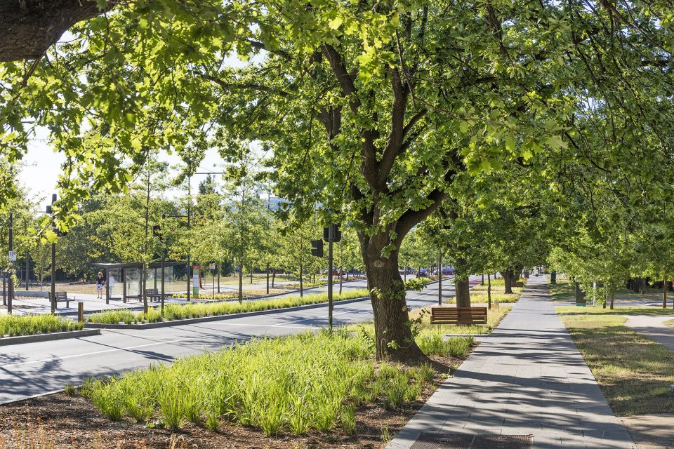 Constitution Ave