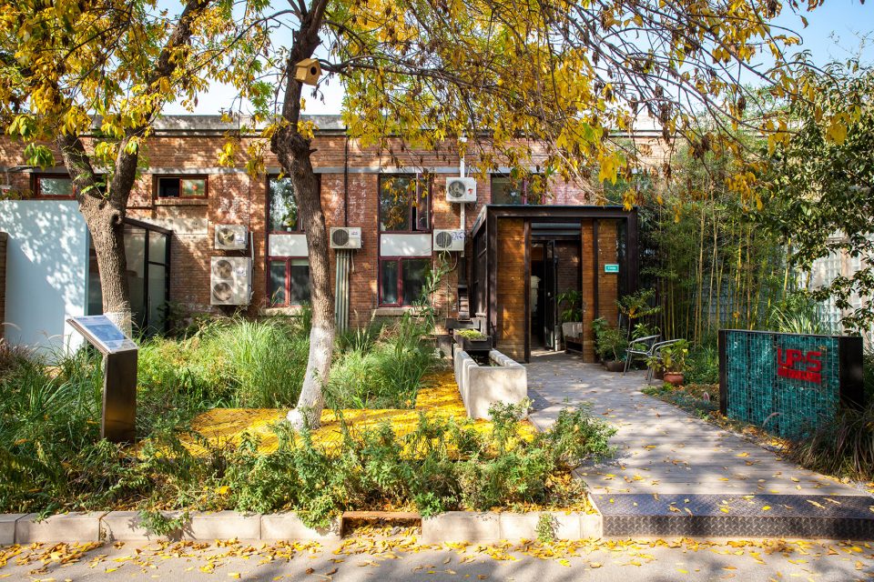 Rain Garden UpS