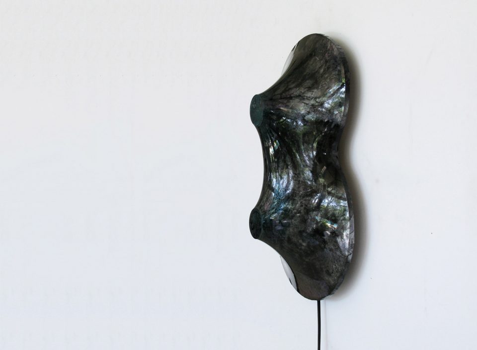 NUCLEI Taeg Nishimoto