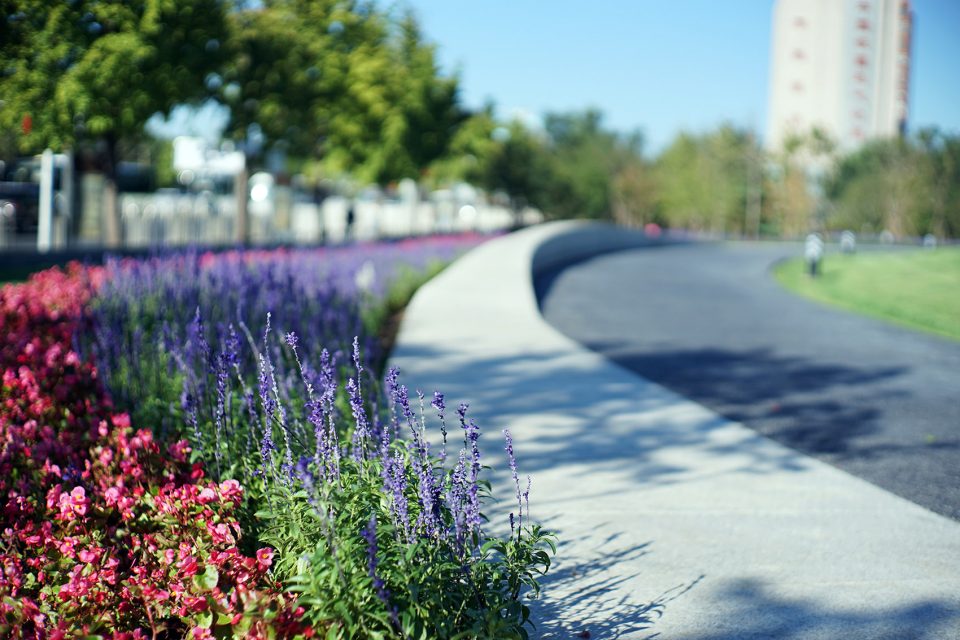 New perspectives on Changan Avenue by Beijing Beilin Landscape Architecture institute