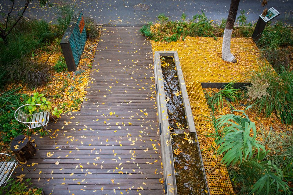 Rain Garden UpS