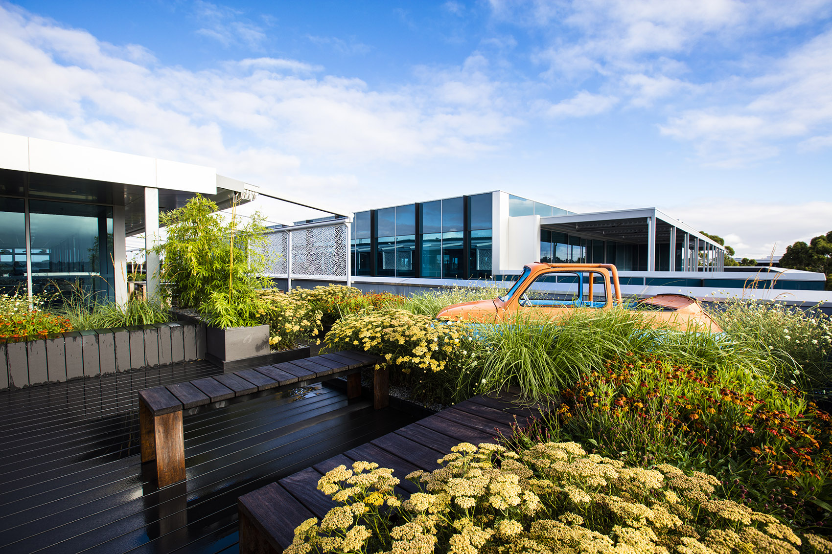 Rooftop Garden, Melbourne, Australia / Ian Barker Gardens 谷德设计网