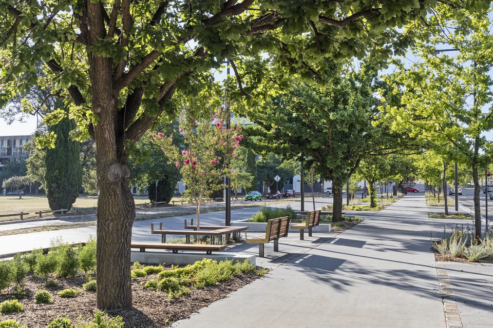 Constitution Ave