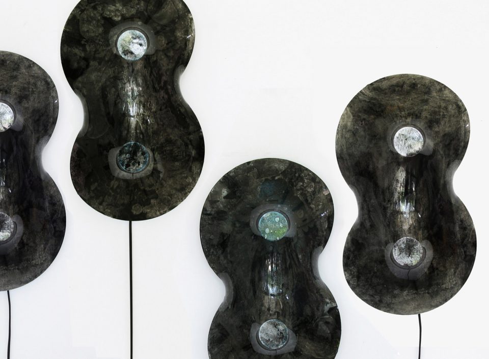 NUCLEI Taeg Nishimoto