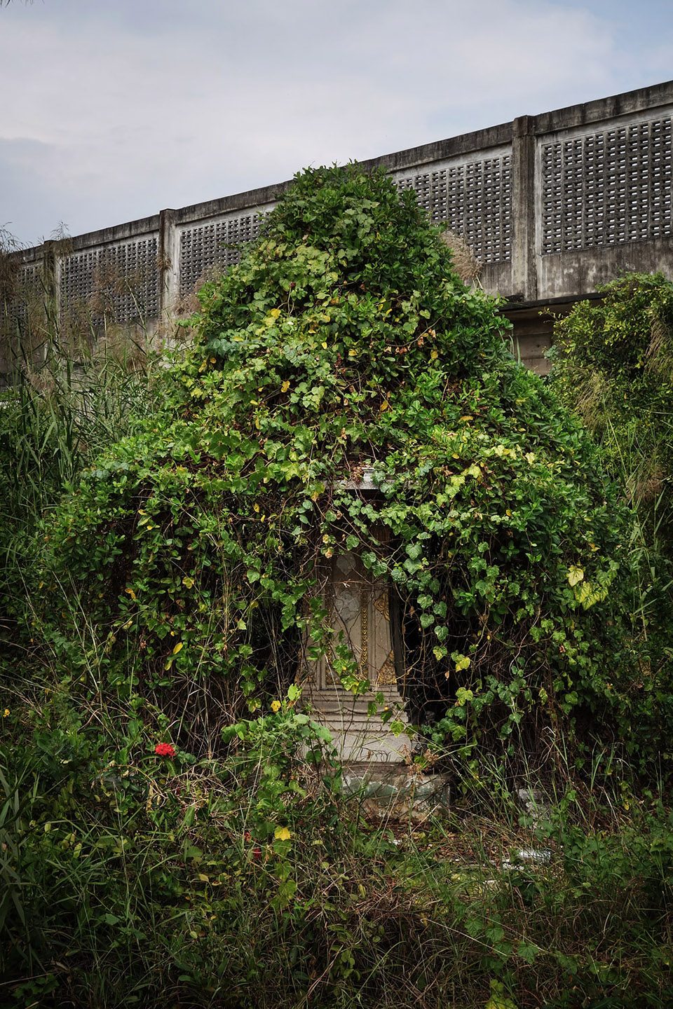 Signs By Akkara Naktamna