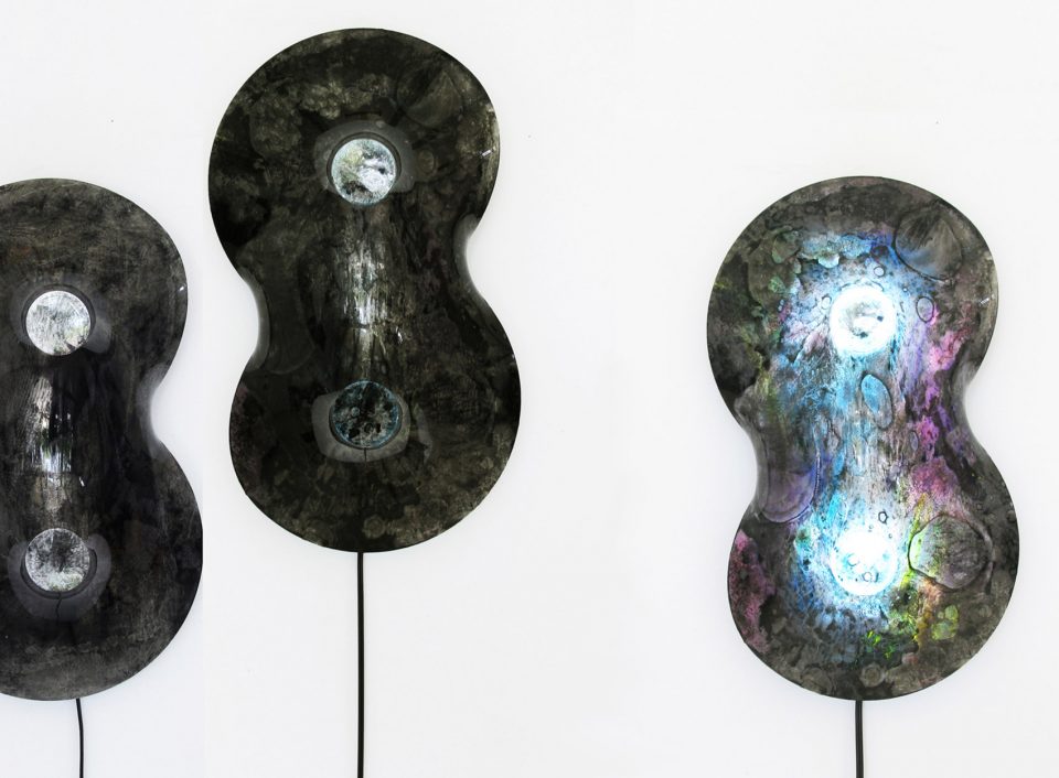 NUCLEI Taeg Nishimoto