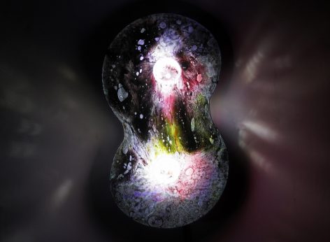 NUCLEI Taeg Nishimoto