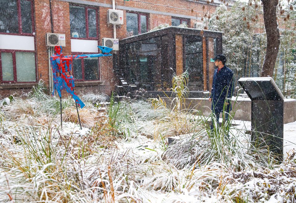 Rain Garden UpS